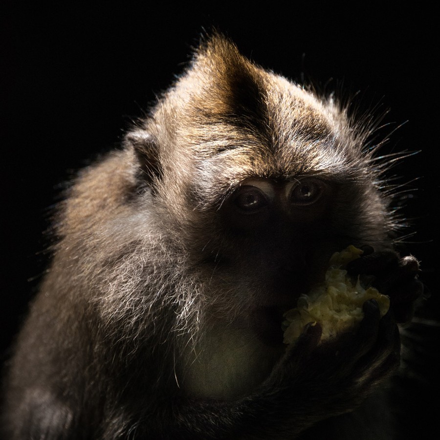 Generosity. Model: Abdrey Bond photographer Unsplash profile, Barcelona. Photographer: Andrey Bond.